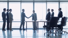 Business professionals shake hands to formalise a deal